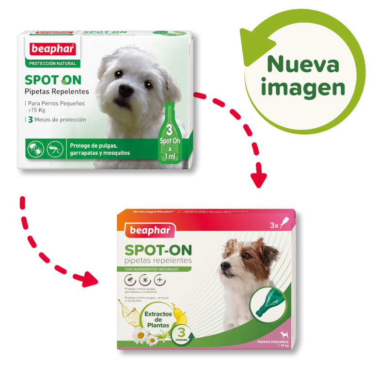 Beaphar Pipetas Repelentes para cães,  Imagem número 2 Beaphar Pipetas Repelentes para cães, , large Imagem número 2