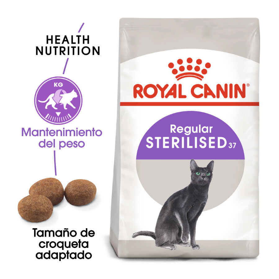 10 kg Royal Canin Regular Sterilised 37 ra&ccedil;&atilde;o para gatos, , large Imagem n&uacute;mero 2