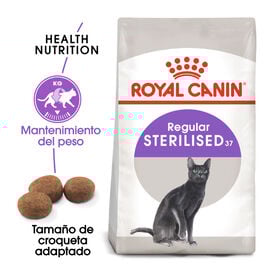 Royal Canin Regular Sterilised 37 ração para gatos