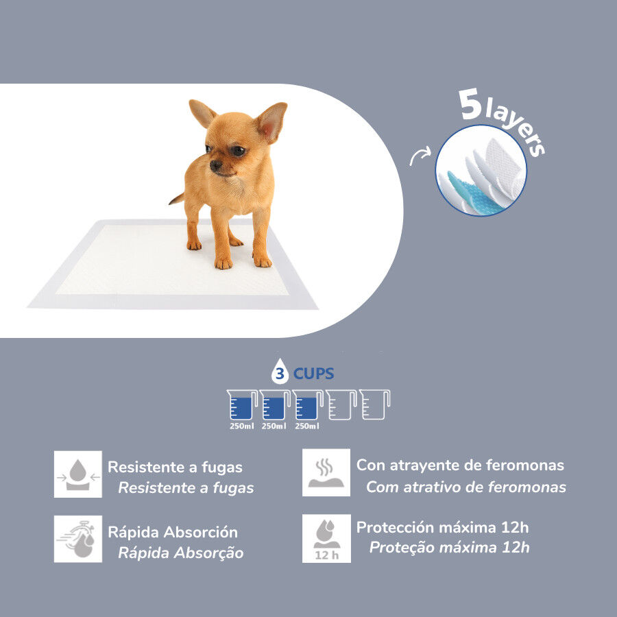 Nice Care Resguardos para c&atilde;es, , large Imagem n&uacute;mero 2