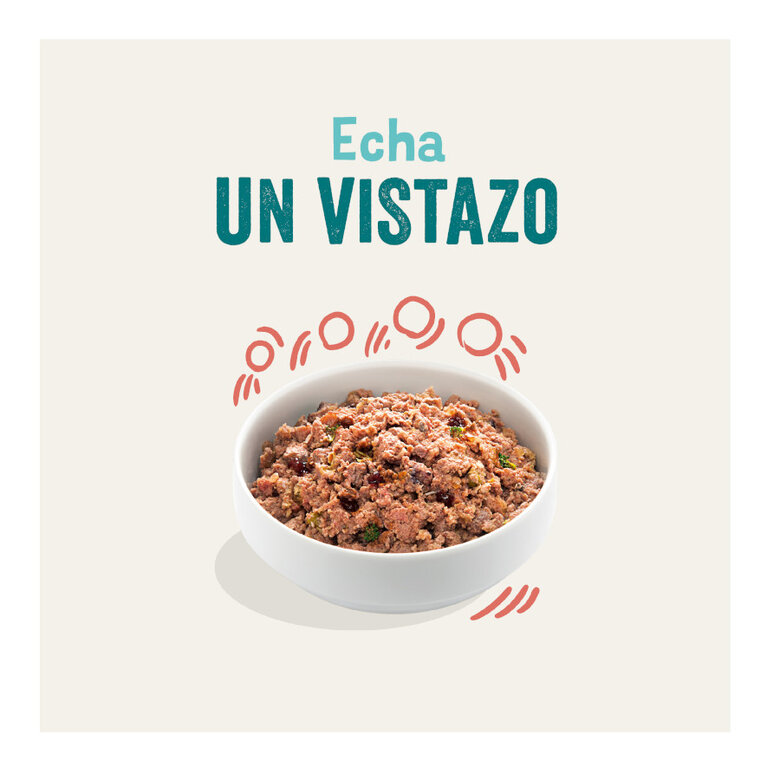 400 g Lata Edgard y Cooper Senior Frango e Salmão lata para cães,  Imagem número 3 400 g Lata Edgard y Cooper Senior Frango e Salmão lata para cães, , large Imagem número 3