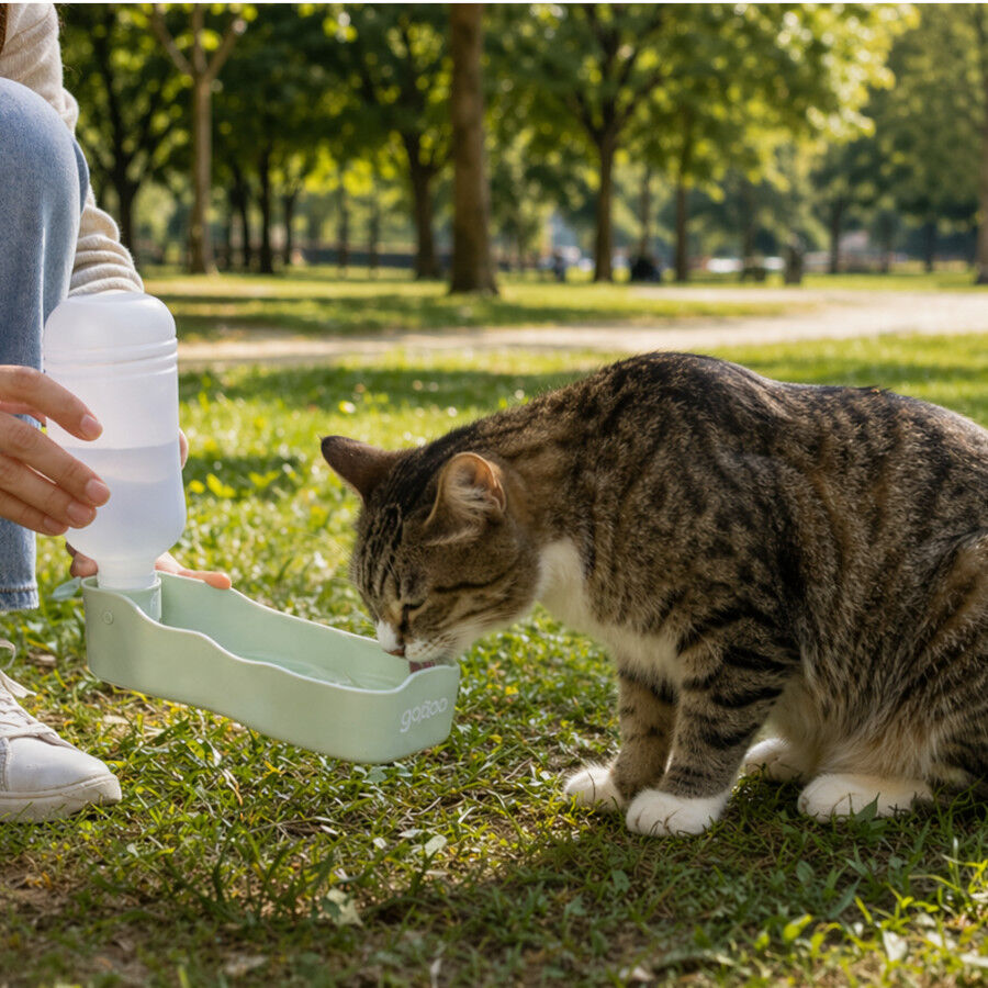 Gotoo Garrafa Bebedouro Port&aacute;til em Pl&aacute;stico Verde para c&atilde;es e gatos, , large Imagem n&uacute;mero 1