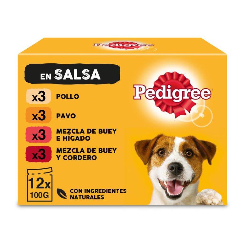 12 saquetas x 100 g Pedigree Sabores Mistos Molho em Saqueta para Cães - Multipack,  Imagem número 1 12 saquetas x 100 g Pedigree Sabores Mistos Molho em Saqueta para Cães - Multipack, , large Imagem número 1