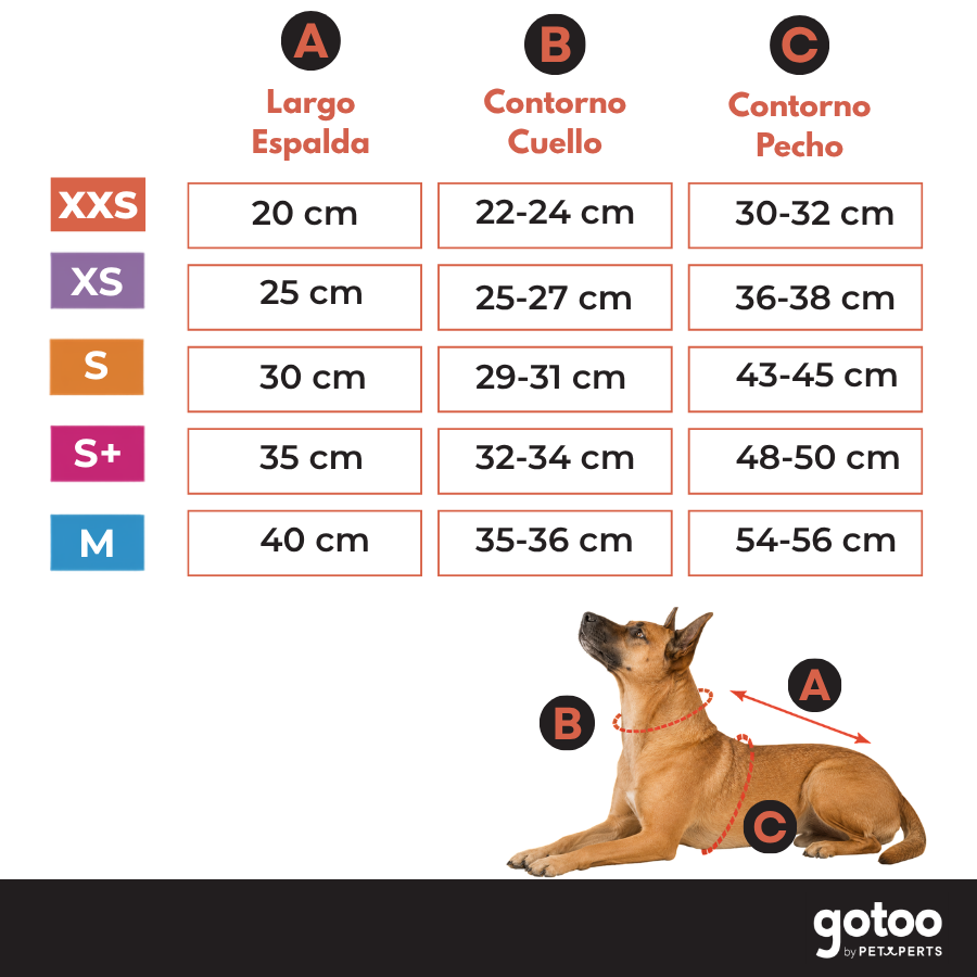 Gotoo Camisola Sherpa com Padr&atilde;o Retro para c&atilde;es, , large Imagem n&uacute;mero 5