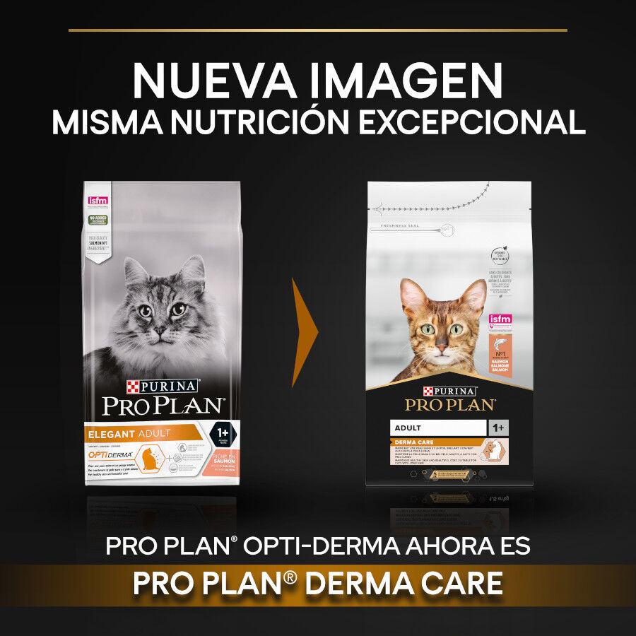 3 kg Pro Plan Adult OptiDerma Salm&atilde;o ra&ccedil;&atilde;o para gatos, , large Imagem n&uacute;mero 2
