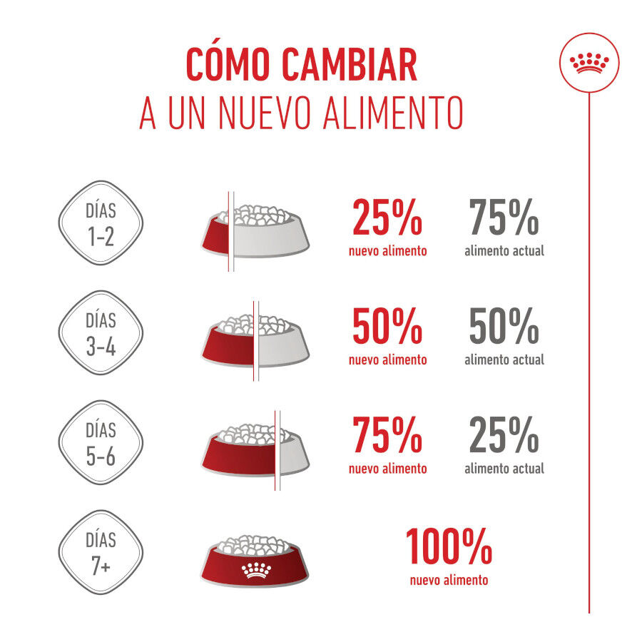 15 kg Royal Canin Puppy Giant ra&ccedil;&atilde;o para c&atilde;es, , large Imagem n&uacute;mero 8