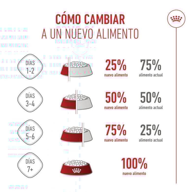 15 kg Royal Canin Puppy Giant ração para cães,  Imagem número 8 15 kg Royal Canin Puppy Giant ração para cães, , large Imagem número 8
