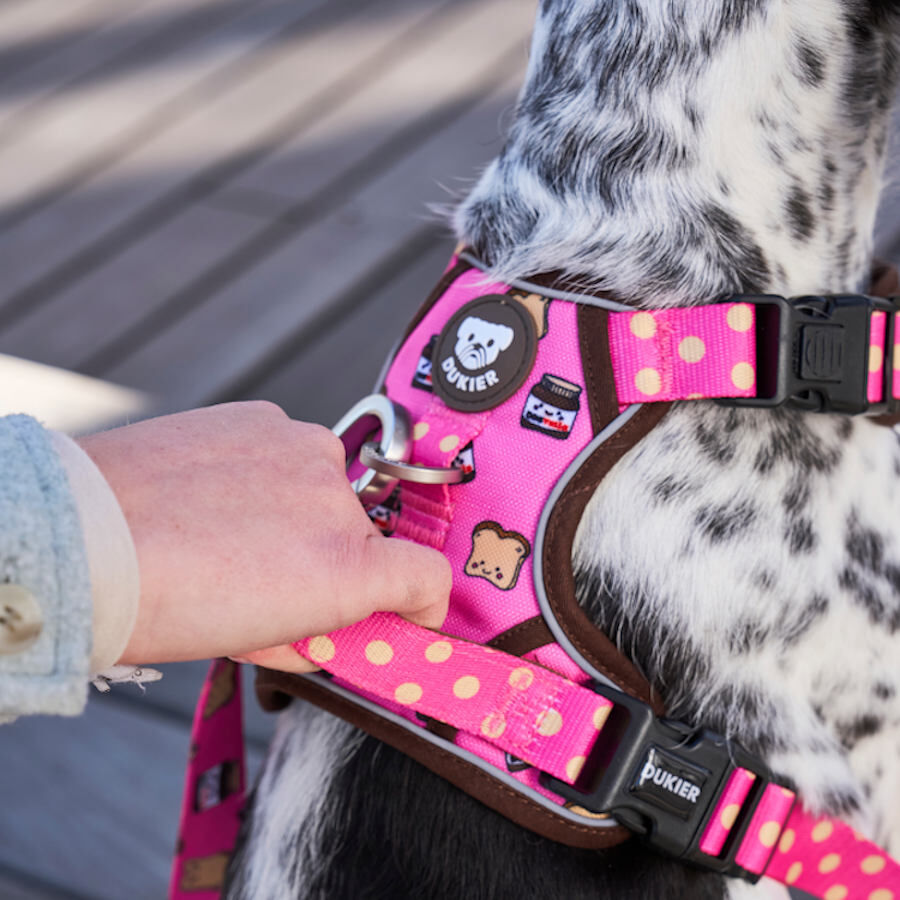 Dukier Dogtella Peitoral trail para c&atilde;es, , large Imagem n&uacute;mero 2