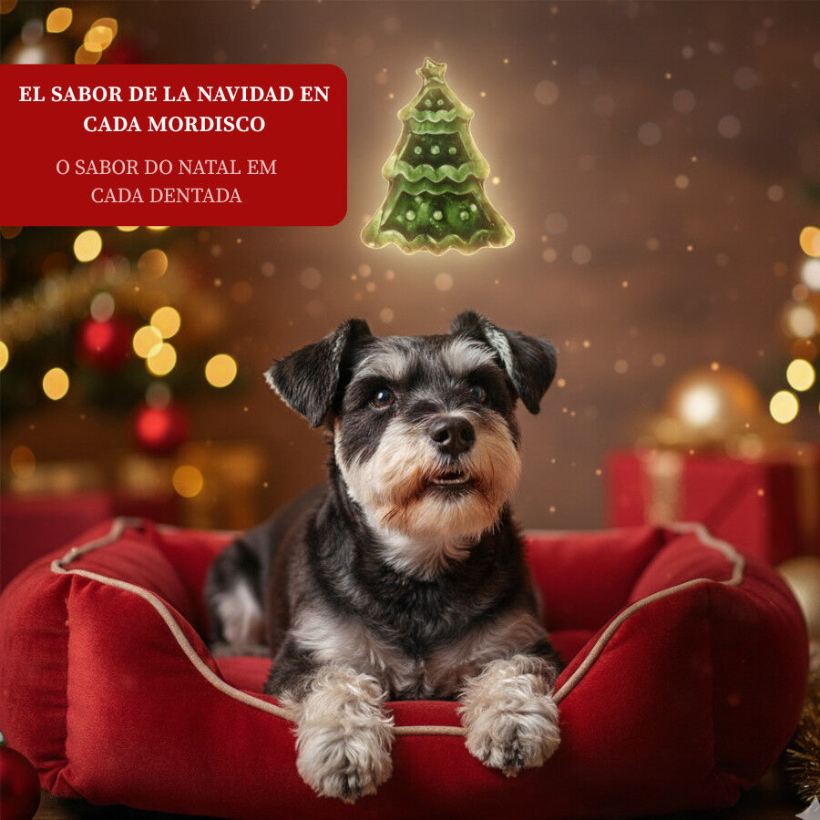 80 g Wonder Christmas Biscoito &Aacute;rvore de Natal para c&atilde;es, , large Imagem n&uacute;mero 4