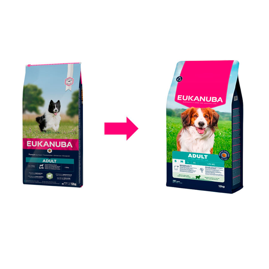 12 kg Eukanuba Adult Ra&ccedil;&atilde;o de cordeiro e arroz para c&atilde;es de ra&ccedil;a pequena e m&eacute;dia, , large Imagem n&uacute;mero 2