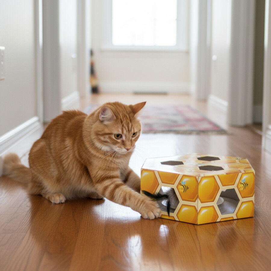 Tootoy! Interactive & Stimulate Brinquedo interativo para gatos, , large Imagem n&uacute;mero 1