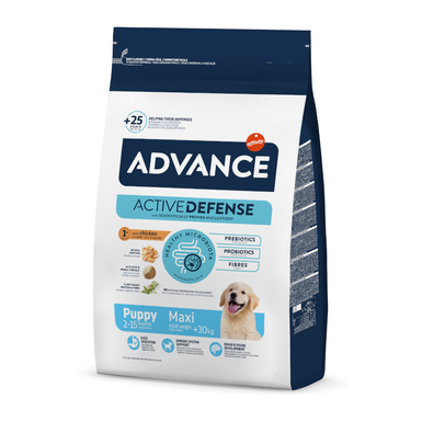 Advance Active Defense Maxi Puppy Frango e Arroz ração para cães