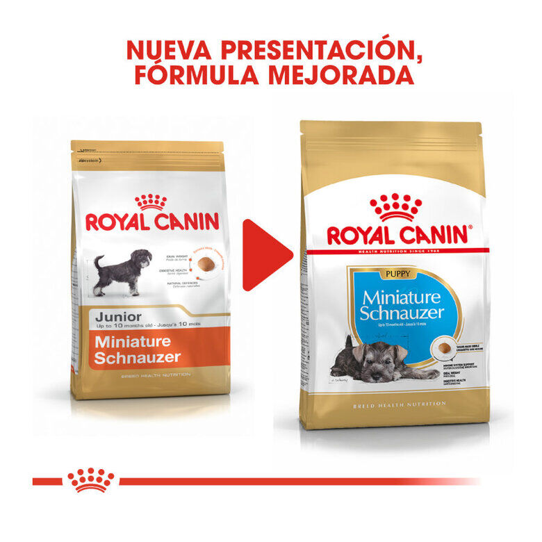 1.5 kg Royal Canin Puppy Miniature Schnauzer ra&ccedil;&atilde;o para c&atilde;es , , large Imagem n&uacute;mero 4