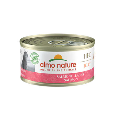 Almo Nature HFC Jelly Salmão em gelatina lata para gatos