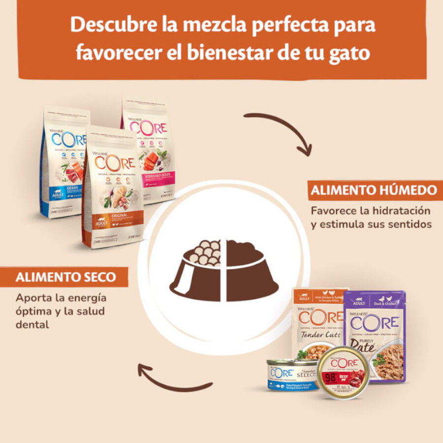 79 g Wellness Core Shredded frango lata para gatos, , large Imagem n&uacute;mero 4