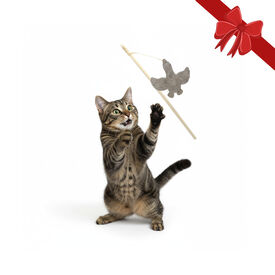 Wonder Christmas Vara com Brinquedo Pato de Natal para Gatos,  Wonder Christmas Vara com Brinquedo Pato de Natal para Gatos