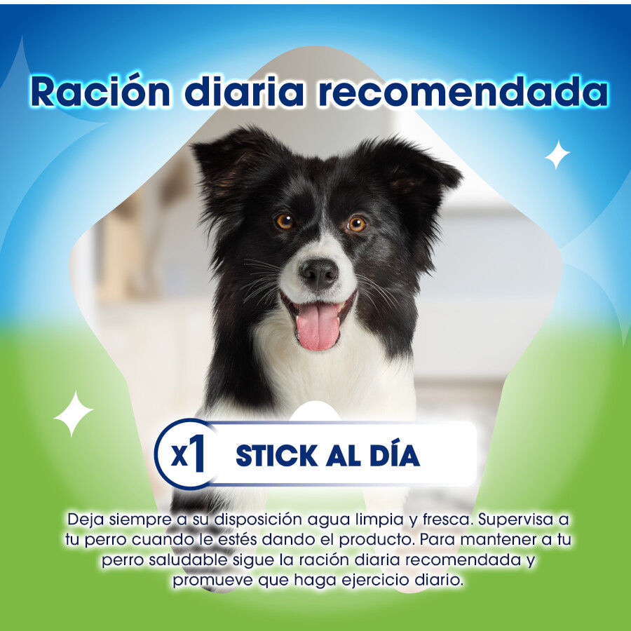 4 sticks Dentalife Snacks Dent&aacute;rios Large ActivFresh para c&atilde;es , , large Imagem n&uacute;mero 4