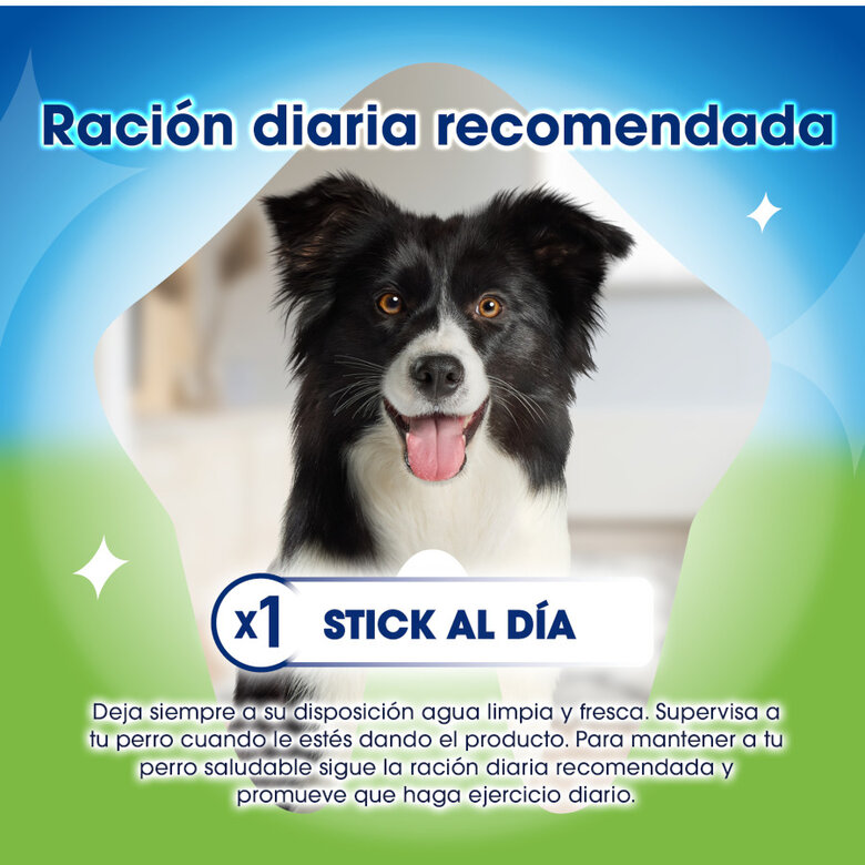 4 sticks Dentalife Snacks Dentários Large ActivFresh para cães ,  Imagem número 4 4 sticks Dentalife Snacks Dentários Large ActivFresh para cães , , large Imagem número 4