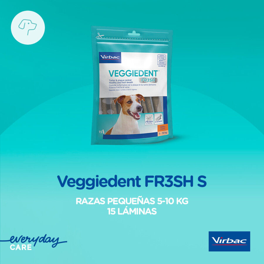 15 sticks Virbac Snacks Dent&aacute;rios Veggiedent Fresh para c&atilde;es de ra&ccedil;a pequena, , large Imagem n&uacute;mero 3