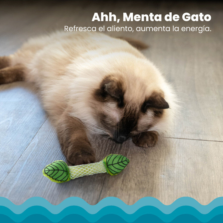 Catstages Fresh Breath Stick Peluche Dent&aacute;rio com Menta para gatos, , large Imagem n&uacute;mero 4