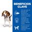 370 g Hill's Puppy Science Plan Frango lata, , large Indicador imagem número 3