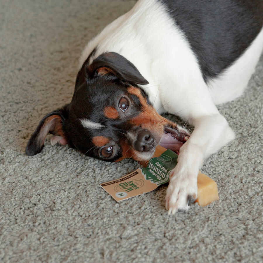L Wild Yaky Barra mastigadora para c&atilde;es, , large Imagem n&uacute;mero 2