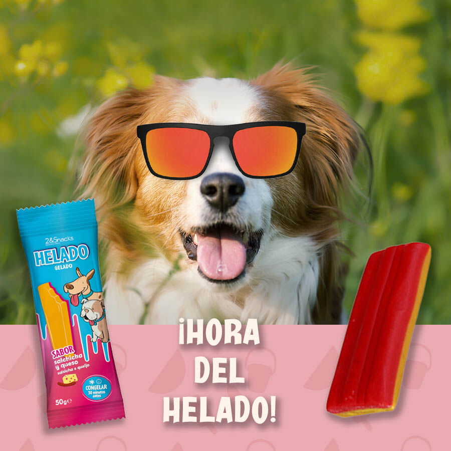 1 ud. 2eSnacks Gelado de Salsicha e Queijo para c&atilde;es , , large Imagem n&uacute;mero 2