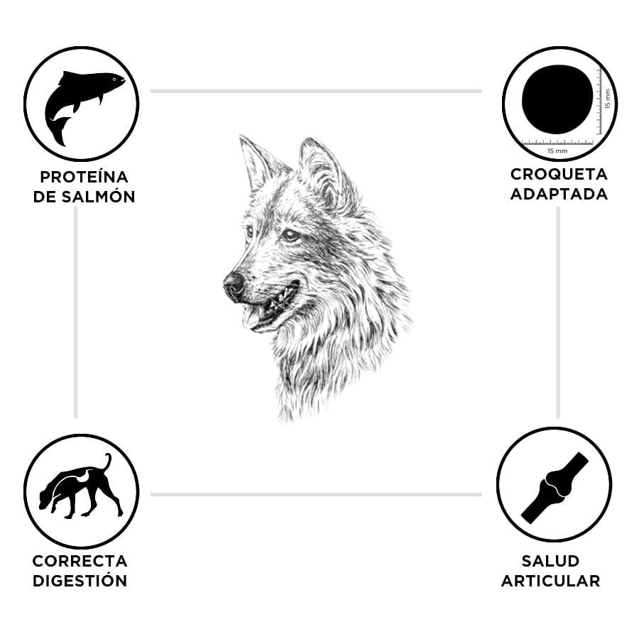 15 kg Criadores Adulto Salm&atilde;o e Arroz ra&ccedil;&atilde;o para c&atilde;es de porte m&eacute;dio e grande, , large Imagem n&uacute;mero 3