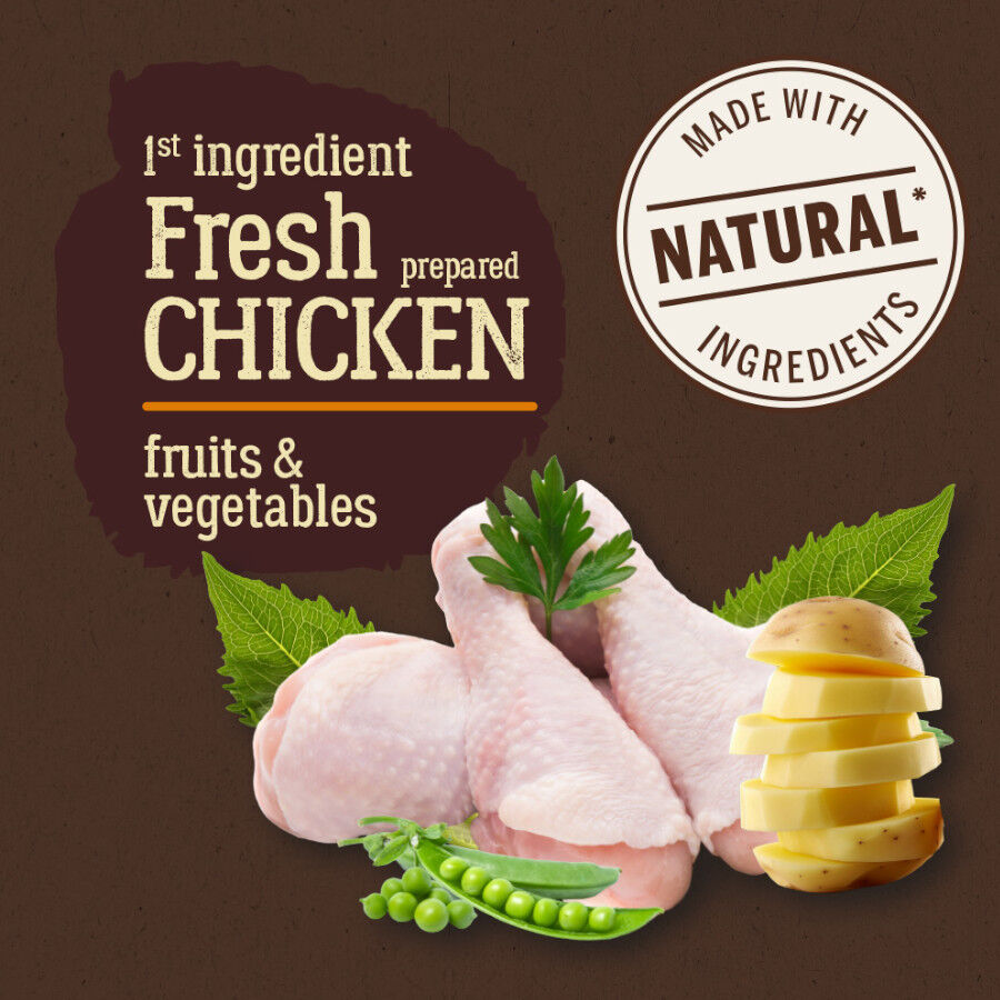 3 kg True Origins Pure Mini Adult Frango ra&ccedil;&atilde;o para c&atilde;es, , large Imagem n&uacute;mero 3