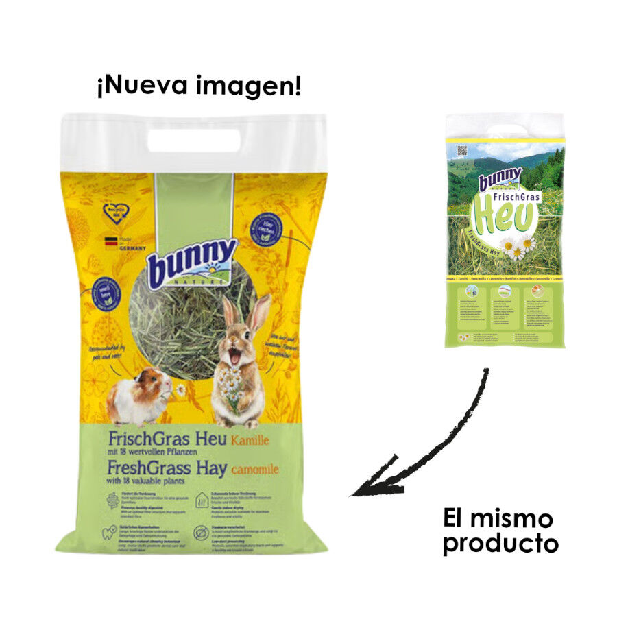 &nbsp;Bunny FrischGras Feno com Camomila para roedores, , large Imagem n&uacute;mero 2