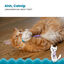 Outward Hound Catstages Chew Rato com Catnip para gatos, , large Indicador imagem número 3