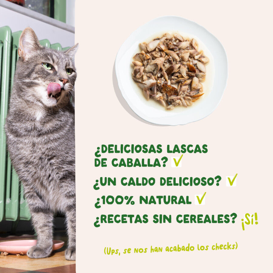 70 g Edgard & Cooper Filetes de Caballa Lata para gatos, , large Imagem n&uacute;mero 4