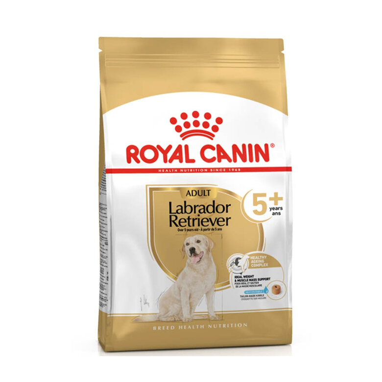12 kg Royal Canin Adult 5+ Labrador ração para cães,  Imagem número 1 12 kg Royal Canin Adult 5+ Labrador ração para cães, , large Imagem número 1