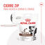 230 g Royal Canin Treats Gastrointestinal Snacks para cães, , large Indicador imagem número 4