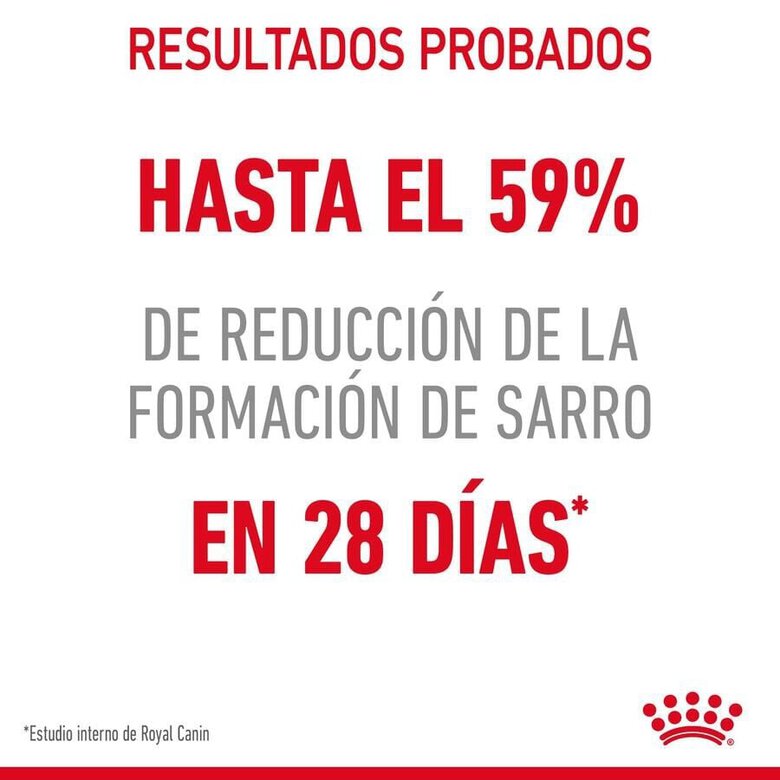 8 kg Royal Canin Adult Oral ração para gatos,  Imagem número 3 8 kg Royal Canin Adult Oral ração para gatos, , large Imagem número 3