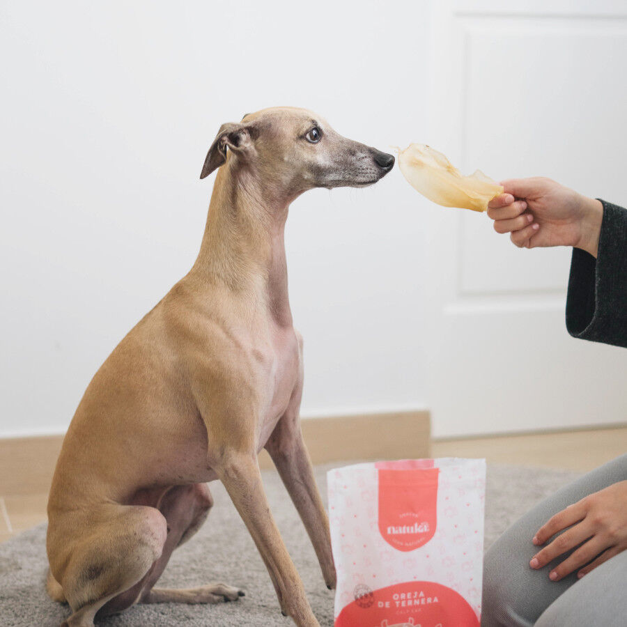 2 uds. x 50 g Natuka Orelha de bezerro para c&atilde;es, , large Imagem n&uacute;mero 2