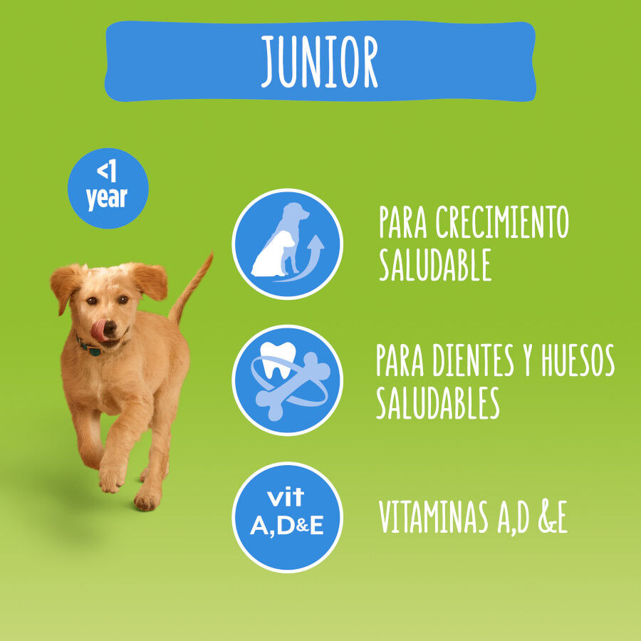 Friskies Junior frango e legumes ra&ccedil;&atilde;o cachorros, , large Imagem n&uacute;mero 3