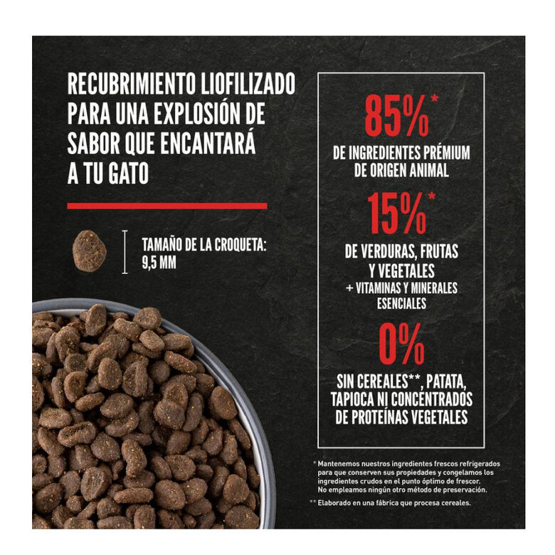 5.4 kg Orijen Original ração para gatos e gatinhos,  Imagem número 6 5.4 kg Orijen Original ração para gatos e gatinhos, , large Imagem número 6