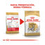 2 x 12 kg Royal Canin Adult Dálmata ração para cães Pack poupança!, , large Indicador imagem número 3