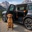 Outech X-perience Transportadora de tela para c&atilde;es pequenos, , large Indicador imagem n&uacute;mero 2