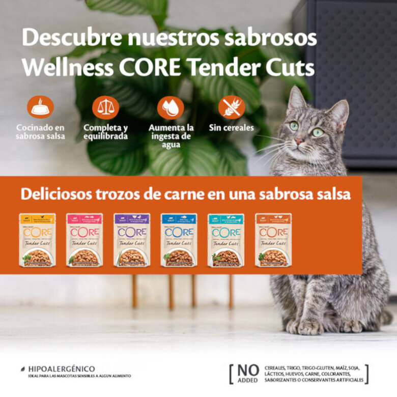 85 g Wellness Core Tender Cuts salmão e atum em molho saquetas para gatos,  Imagem número 3  85 g Wellness Core Tender Cuts salmão e atum em molho saquetas para gatos, , large Imagem número 3