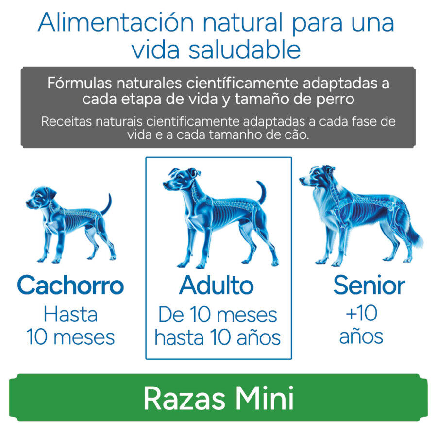 Criadores Cient&iacute;fico light -46% de gordura Adulto Mini Ra&ccedil;&atilde;o de frango para c&atilde;es, , large Imagem n&uacute;mero 11