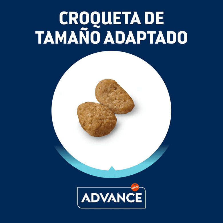 Advance Junior Sterilized pienso para gatos2 Imagem n&uacute;mero 3