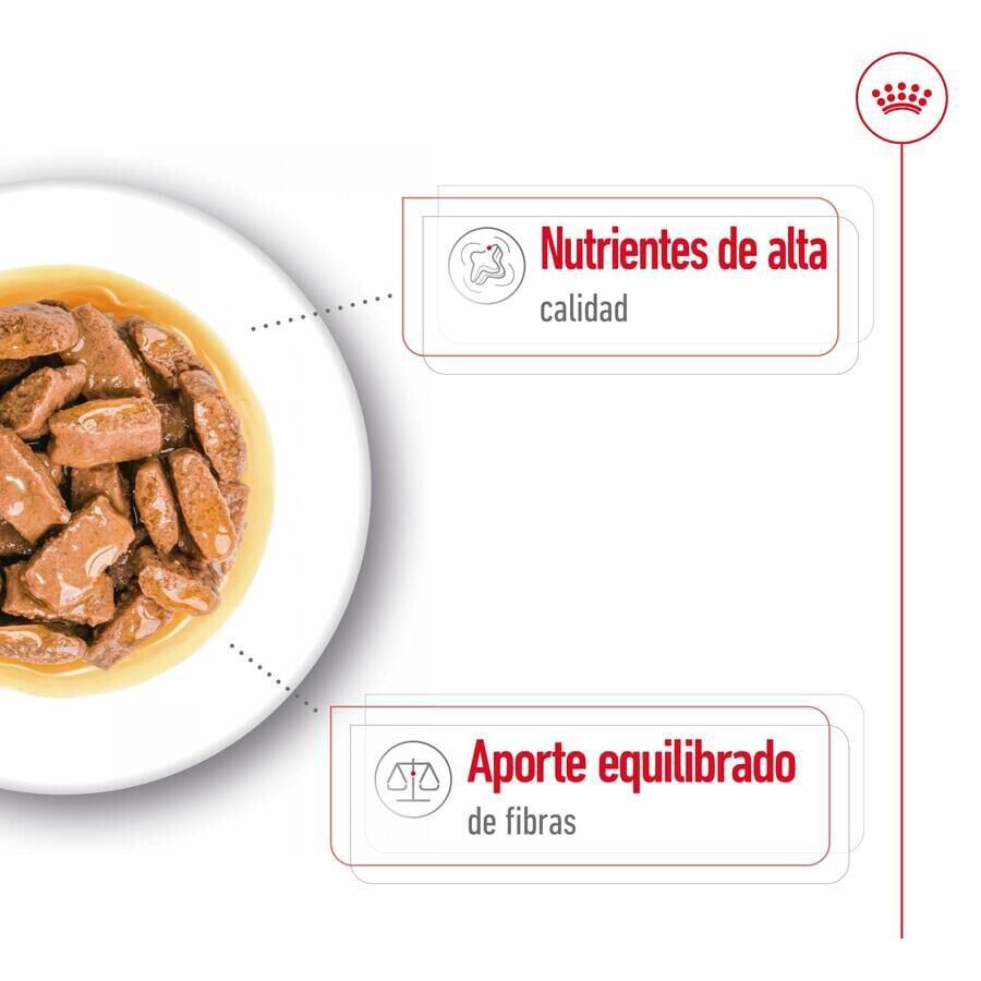 140 g Royal Canin Maxi Adult Carne saquetas em molho para c&atilde;es, , large Imagem n&uacute;mero 6