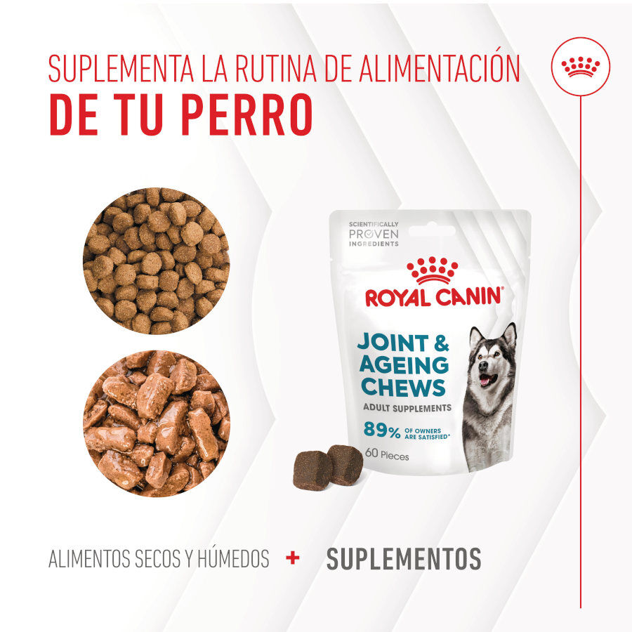 240 g Royal Canin Joint & Ageing Chews Suplemento Nutricional para c&atilde;es com sensibilidade articular, , large Imagem n&uacute;mero 9