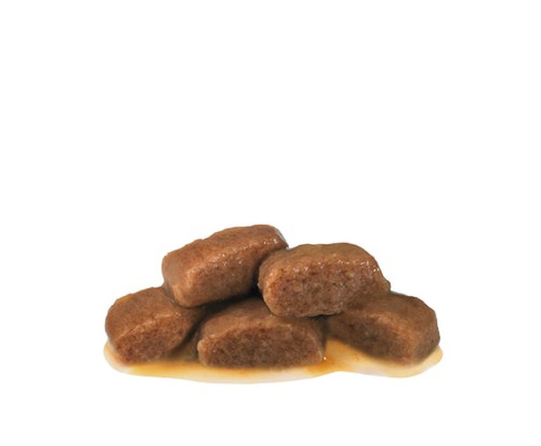 12 saquetas x 85 g Royal Canin Renal Vaca saquetas para gatos,  Imagem número 2 12 saquetas x 85 g Royal Canin Renal Vaca saquetas para gatos, , large Imagem número 2