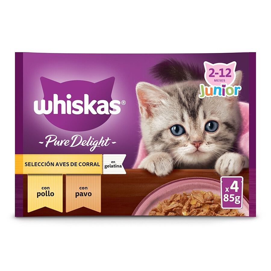 4 saquetas x 85 g Whiskas Casserole Aves Geleia em Saqueta para Gatos J&uacute;nior, , large Imagem n&uacute;mero 1