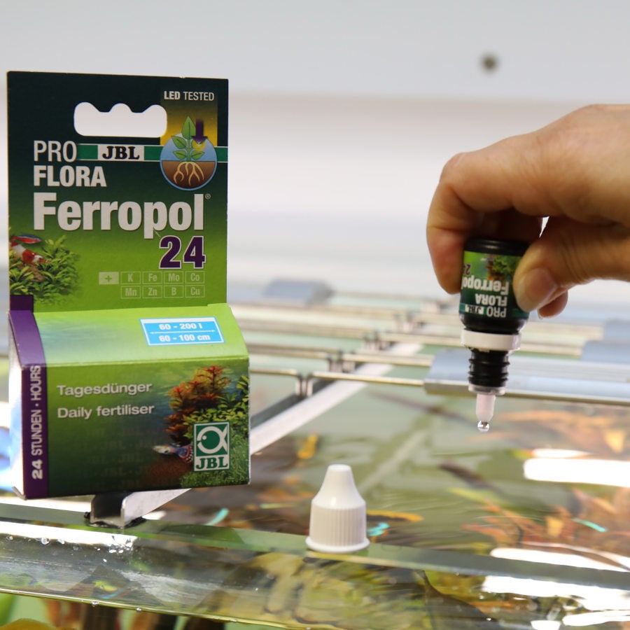 JBL ProFlora Ferropol 24 Fertilizante de plantas aqu&aacute;ticas para aqu&aacute;rios, , large Imagem n&uacute;mero 3