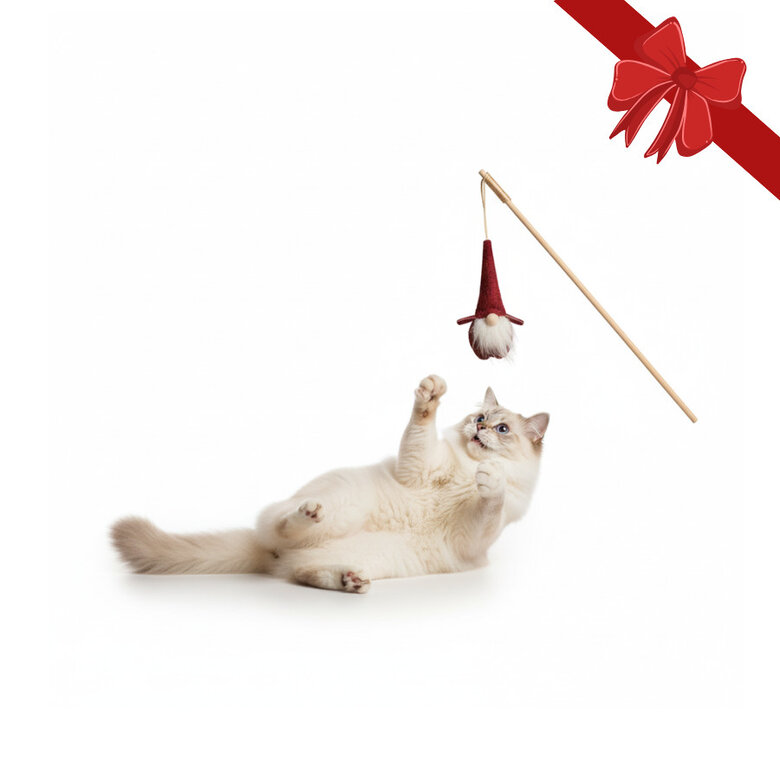 Wonder Christmas Vara com Brinquedo Pai Natal para Gatos,  Imagem número 1 Wonder Christmas Vara com Brinquedo Pai Natal para Gatos, , large Imagem número 1