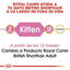 10 kg Royal Canin British Shorthair Kitten Ração para gatos, , large Indicador imagem número 4